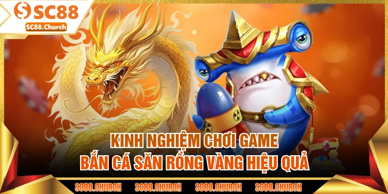 Kinh nghiệm chơi game bắn cá săn Rồng Vàng hiệu quả