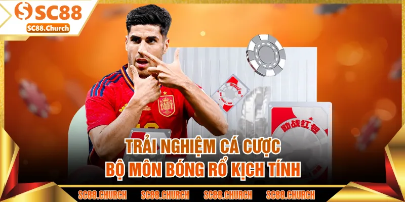 Trải nghiệm cá cược bộ môn bóng rổ kịch tính